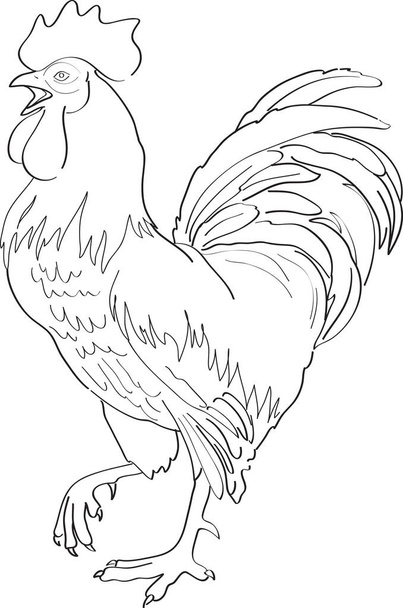 a sketch of a rooster - Vettoriali, immagini