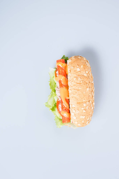 sandwich or health sandwich on the background. - Photo, Image
