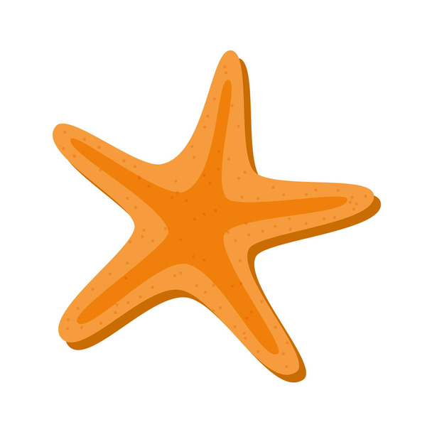 starfish beach isolated icon - Vector, Image