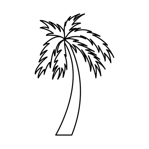 puu palmu ranta eristetty kuvake
 - Vektori, kuva