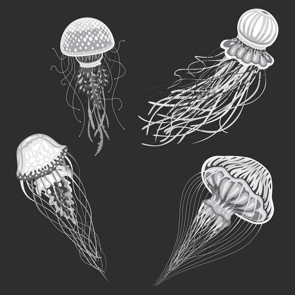 Jellyfish vector isolated cartoon set of icons - Vektor, Bild