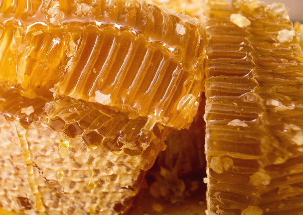 full and tasty honeycomb close up - Foto, imagen