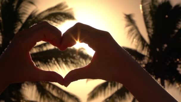 CLOSE UP: Спіймати серце руками над золотим сонцем з пишною долонею на фоні
 - Кадри, відео
