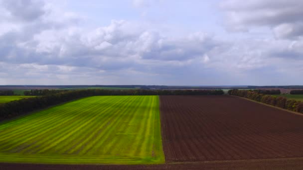 Vista aérea sobre los campos agrícolas
 - Imágenes, Vídeo