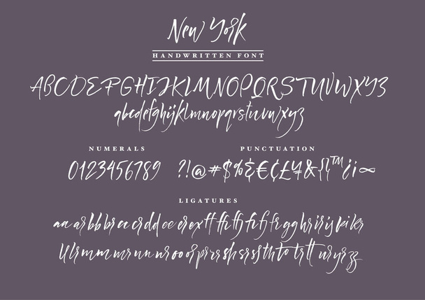ニューヨークの手書きのスクリプトのフォントです。ブラシ フォントです。大文字、小文字、数字、句読点および多くの合字 - ベクター画像
