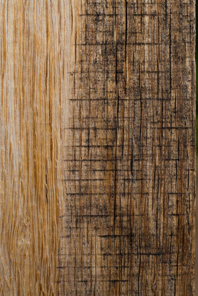 Fundo de madeira escura
 - Foto, Imagem