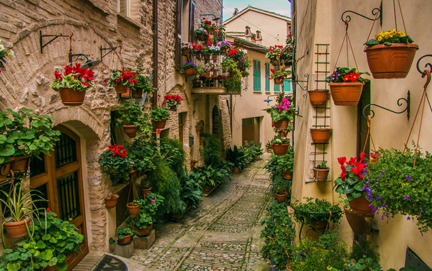 Charming street decoration with plants and flowers in medieval town Spello - Photo, Image