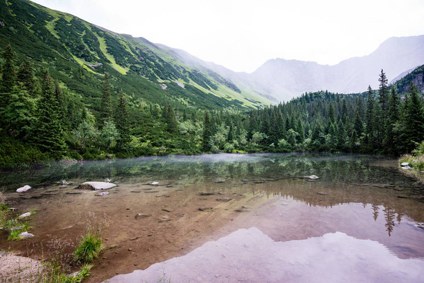 foggy mountain lake in summer - Photo, Image