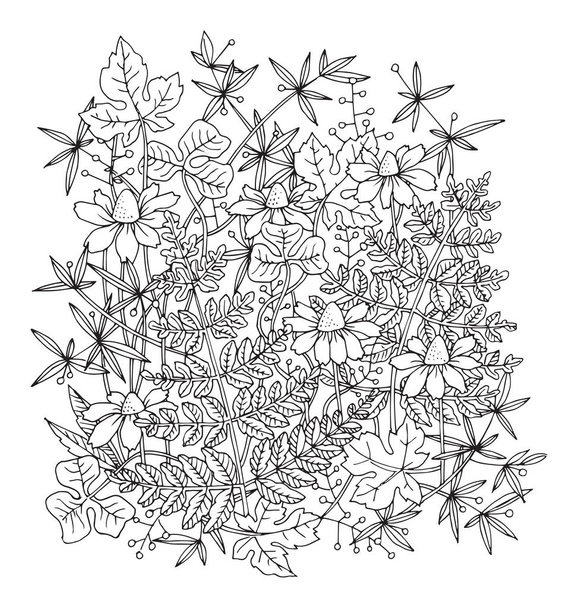 Hand drawn flowers on white background - Vector, Imagen