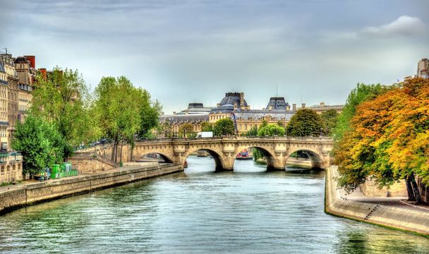 Mostu Pont Neuf i Seine w Paris - Francja - Zdjęcie, obraz