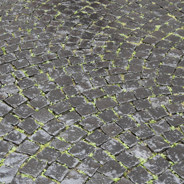patrón de la vieja calle de piedra adoquín en la lluvia
 - Foto, imagen