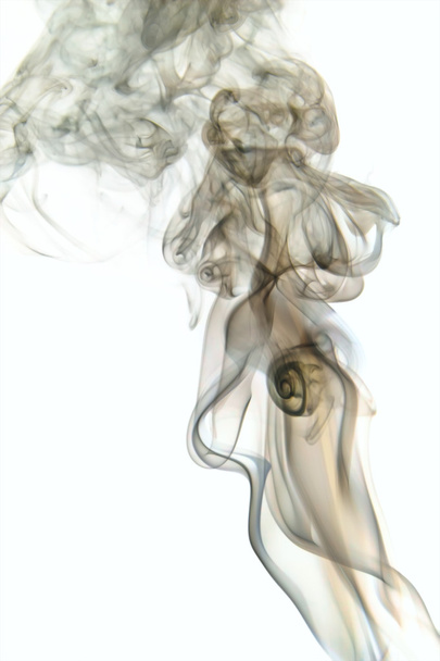 Smoke - 写真・画像