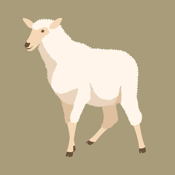 sheep vector illustration style Flat - Vector, Image