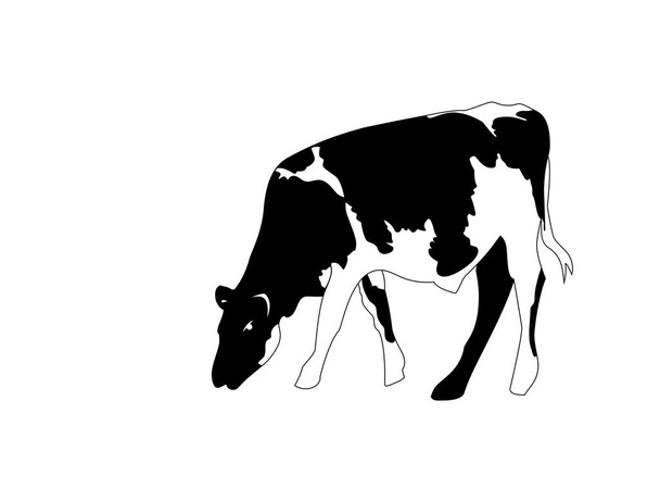 Portré nagy fekete-fehér tehén vektor - Vektor, kép