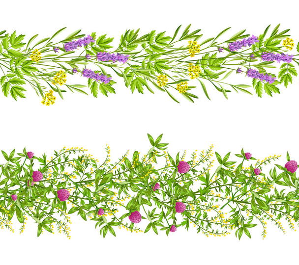 Ervas e flores selvagens padrão sem costura
 - Vetor, Imagem