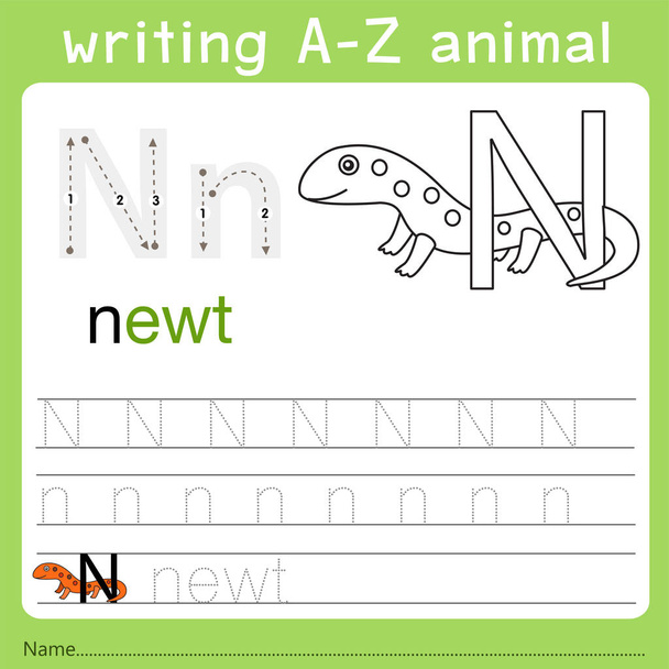 Ilustrador de escribir a-z animal n
 - Vector, Imagen