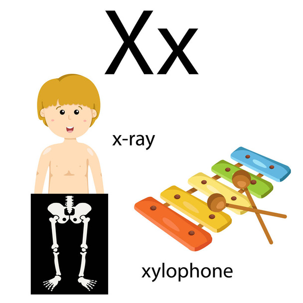 語彙 x のイラストレーター - ベクター画像