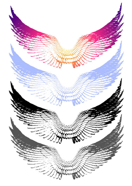 εκλεκτής ποιότητας διάνυσμα φτερά σε άσπρο φόντο. EPS 10 - Διάνυσμα, εικόνα