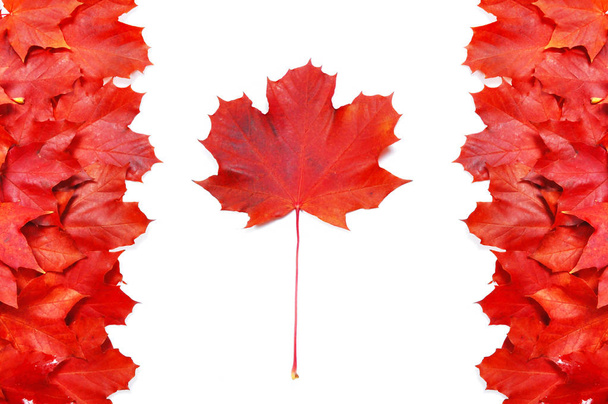 Kanadan lippu, valmistettu lehdistä
 - Valokuva, kuva
