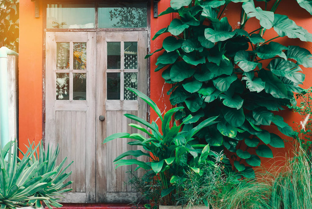 деревянная дверь на красной стене с деревом на переднем плане
 - Фото, изображение