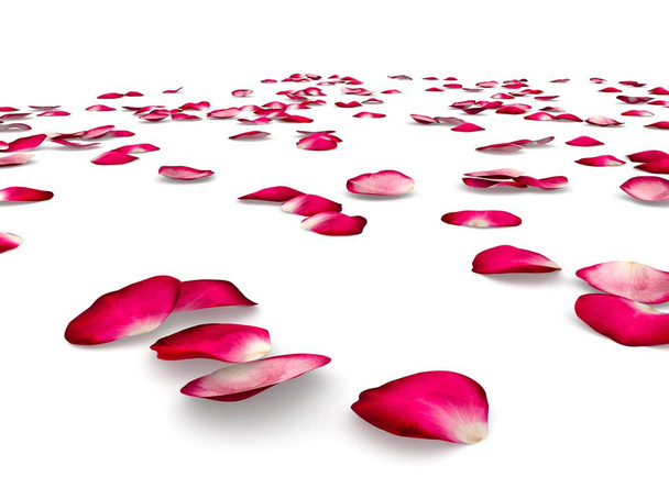 Pétales de rose rouge éparpillés sur le sol - Photo, image