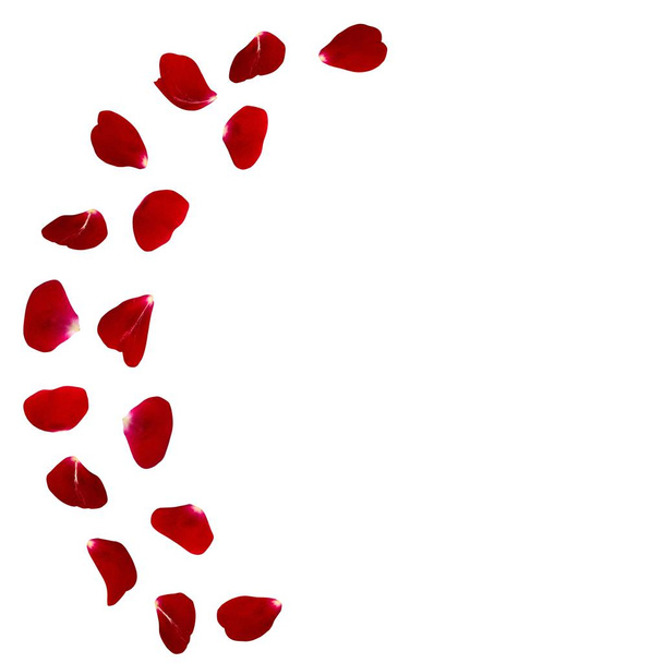 Pétalos de rosa roja esparcidos por el suelo en un semicírculo
 - Foto, Imagen