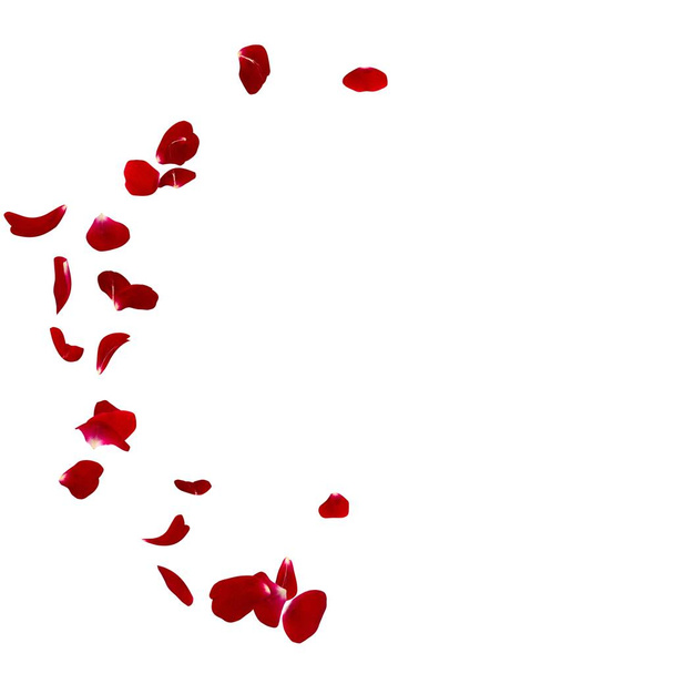Rote Rosenblätter im Halbkreis auf dem Boden verstreut - Foto, Bild