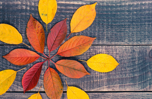 leaf background on a wooden table - Фото, изображение