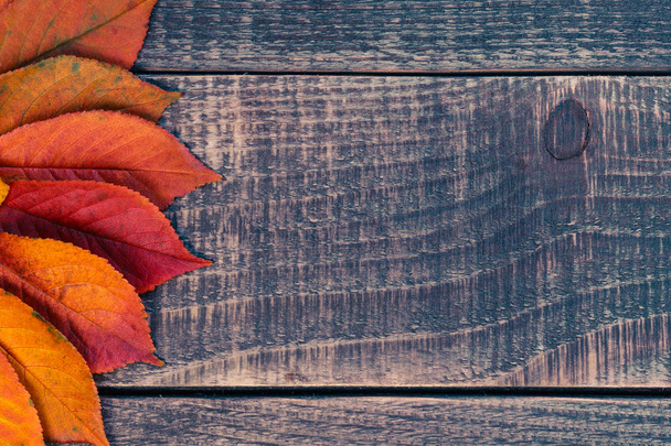 leaf background on a wooden table - Photo, Image