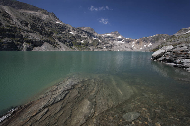 A fiatal kanokat birálta gleccser-tó - Fotó, kép