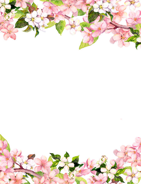 Blossom pink sakura flowers. Floral card or blank. Watercolor - Foto, Imagem