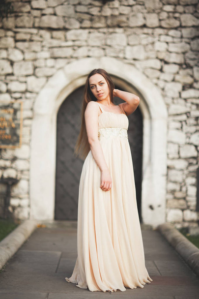 Young woman with long dress and hair posing in park  near old gate - Photo, image