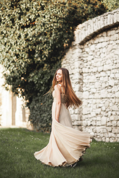 Beautiful girl, model with long hair posing in park near great wall. Krakow Vavel - 写真・画像