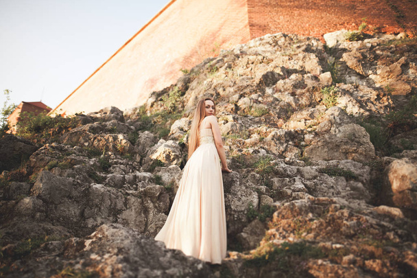 Attractive young woman in long dress standing on the rocks - Foto, imagen
