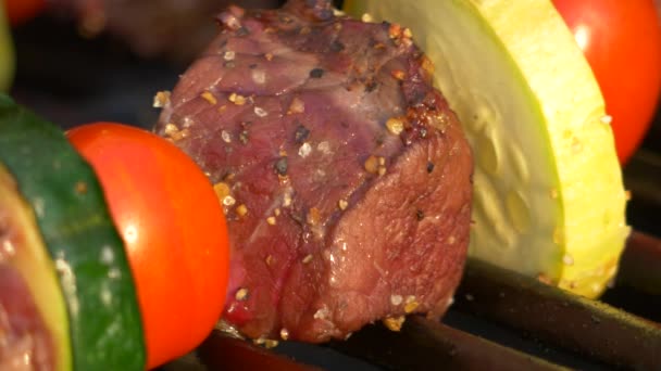 Primer plano de carne de res sazonada Kabob Sizzling en la parrilla, 4K
 - Metraje, vídeo