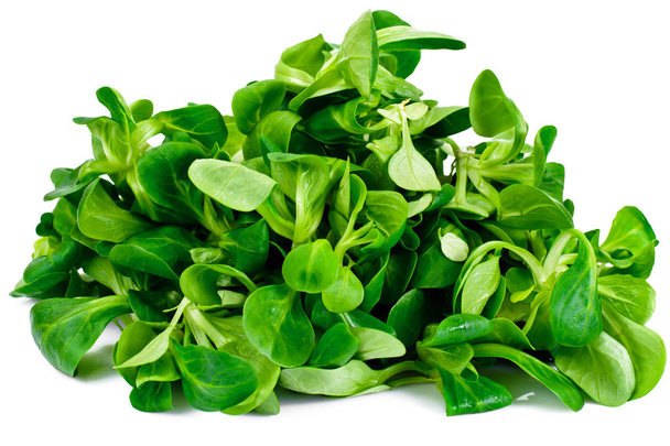 Свіжий соковитий зелений кукурудзяний салат ізольований на білому тлі
 - Фото, зображення