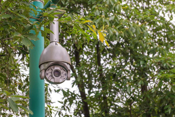 Überwachungskamera und Stadtvideo im öffentlichen Park - Foto, Bild
