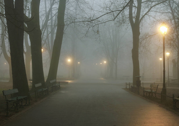 Misty evening in old park. - Foto, imagen