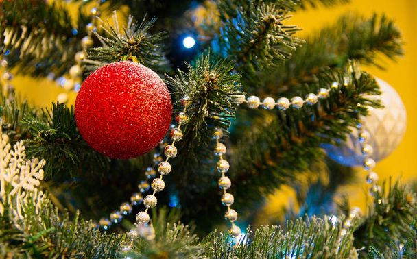 yksittäinen punainen joulupallo roikkuu puussa, koska alustan ja taustan
 - Valokuva, kuva