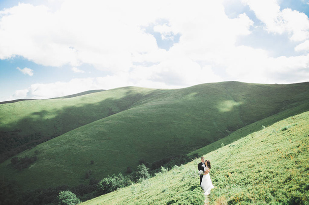 Kissing wedding couple staying over beautiful landscape - 写真・画像