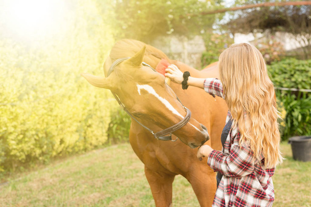 Young beautiful woman with a horse - Photo, Image