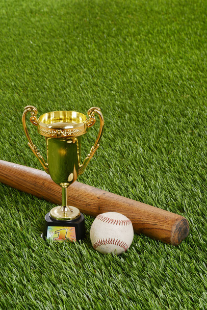 baseball trophy with bat and hard ball - Zdjęcie, obraz