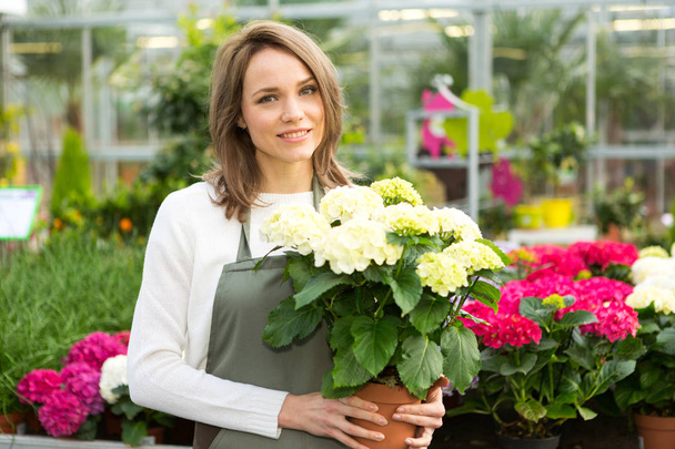 Woman working at the plants nursery - Foto, Imagem