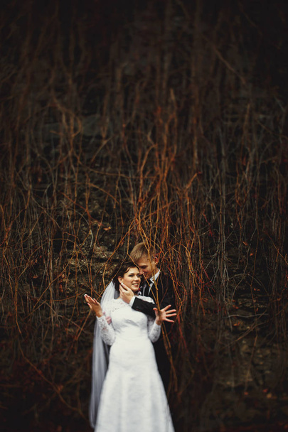 Bride smiles standing behind a dry ivy with a fiance - Φωτογραφία, εικόνα