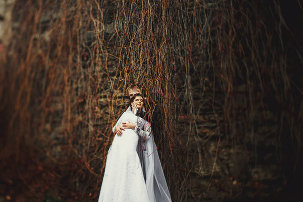 A view on a wedding couple hidden behind a curtain of dry ivy  - Foto, afbeelding