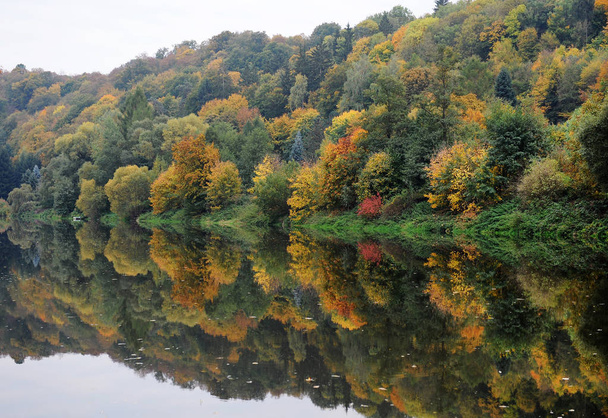 Autumn river Berounka - Foto, Bild