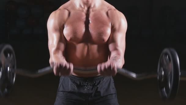 Bodybuilder performing barbell biceps curls - Footage, Video