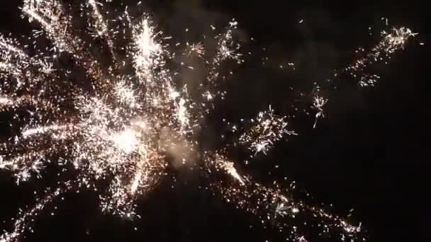 Nouvel an feux d'artifice sur le ciel nocturne - Séquence, vidéo