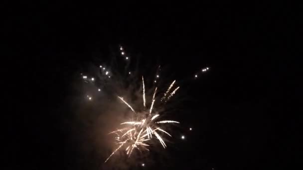 Fogos de artifício de Ano Novo em céu noturno - Filmagem, Vídeo