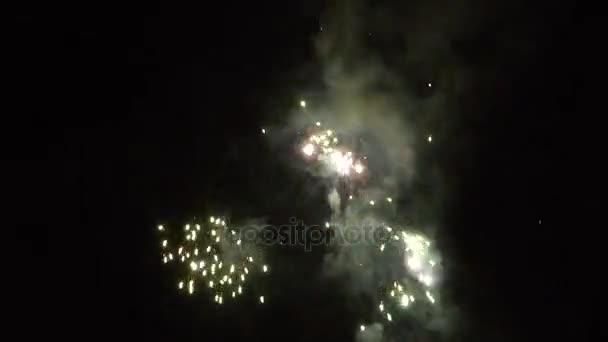Nowy rok fajerwerki na nocnym niebie - Materiał filmowy, wideo